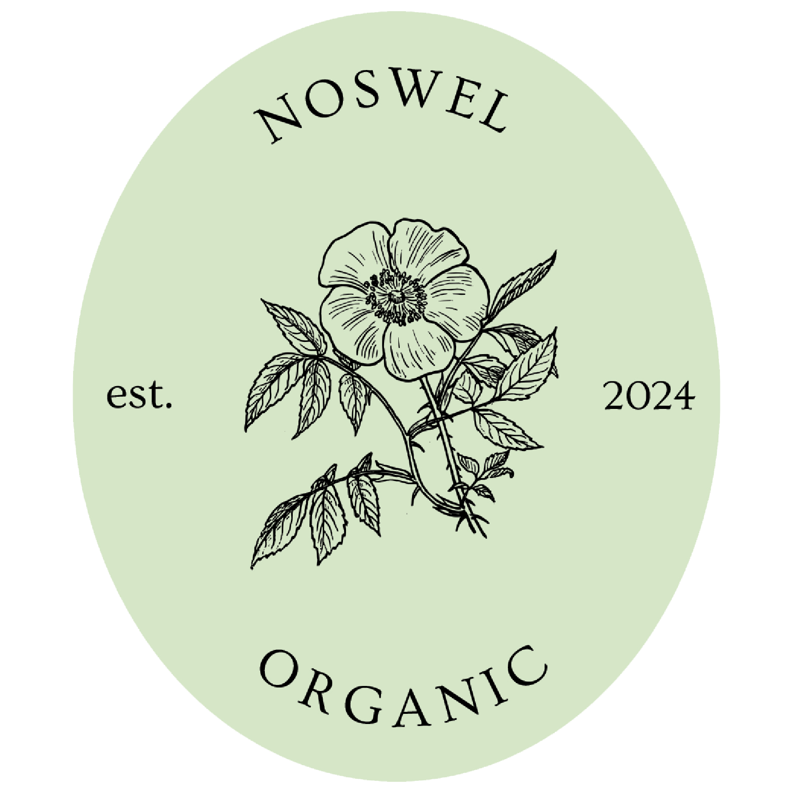 noswel.store